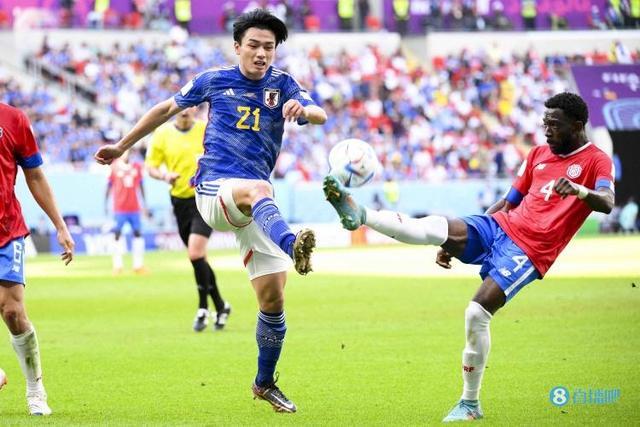 在国内正逐 在国内正逐