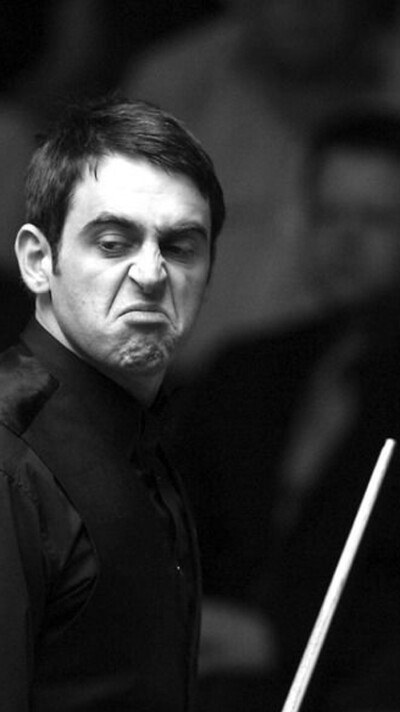 排名变动不 排名变动不