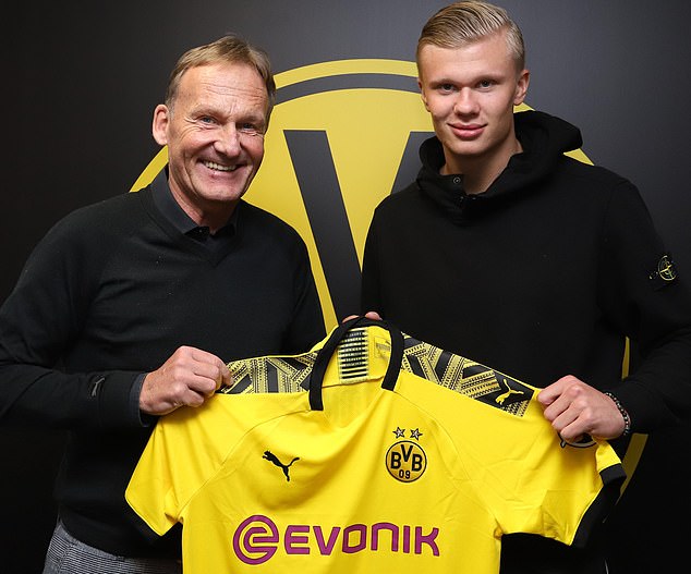 动作反馈的 动作反馈的